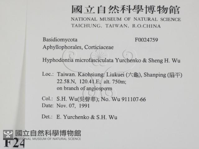 登錄號:F0024759藏品圖，第2張