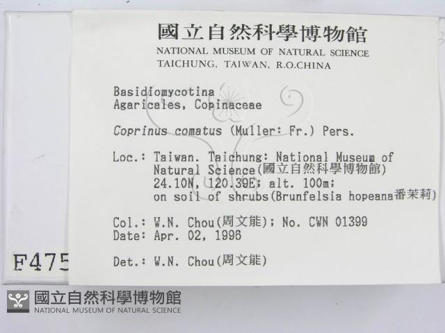 登錄號:F0004759藏品圖，第2張