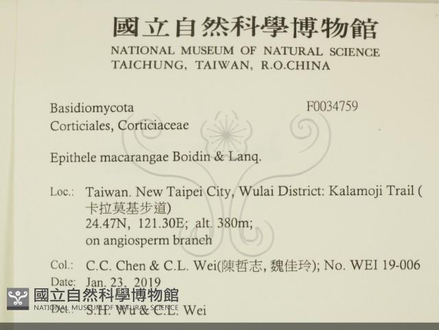 登錄號:F0034759藏品圖，第2張