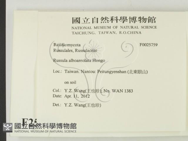 登錄號:F0025759藏品圖，第2張