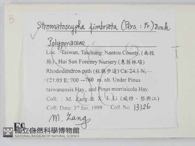 登錄號:F0009759藏品圖，第2張