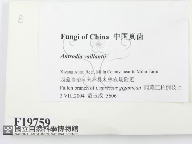登錄號:F0019759藏品圖，第2張