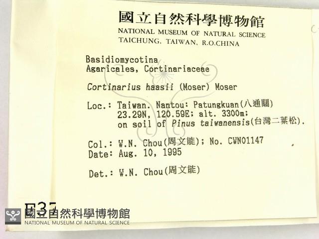登錄號:F0003759藏品圖，第2張