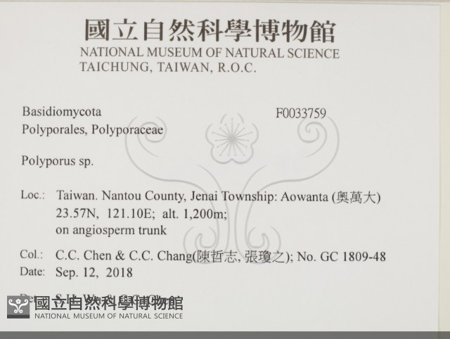 多孔菌屬藏品圖，第2張