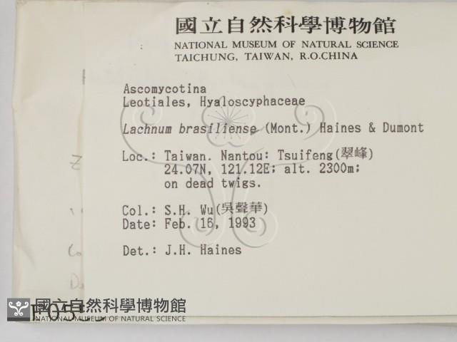 登錄號:F0000559藏品圖，第2張