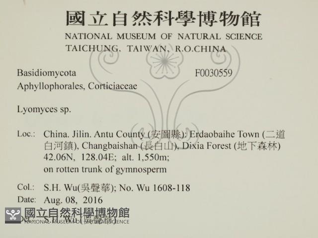 登錄號:F0030559藏品圖，第2張