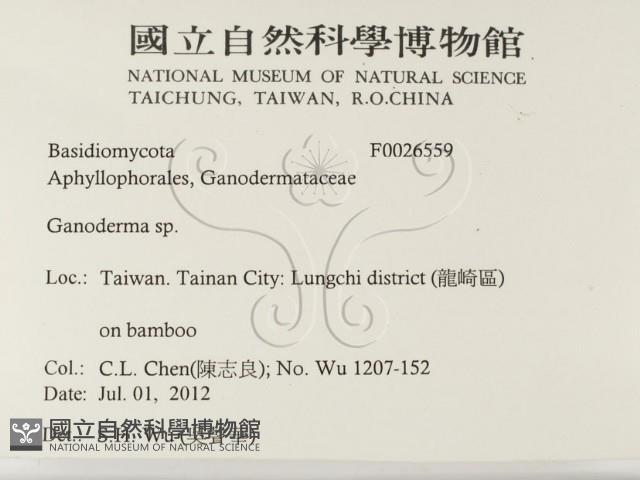 登錄號:F0026559藏品圖，第2張