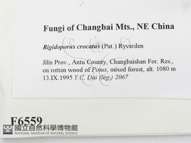 登錄號:F0006559藏品圖，第2張