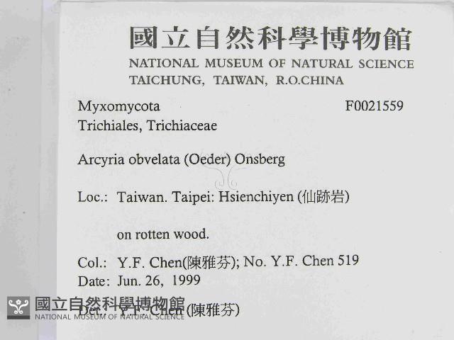 登錄號:F0021559藏品圖，第2張