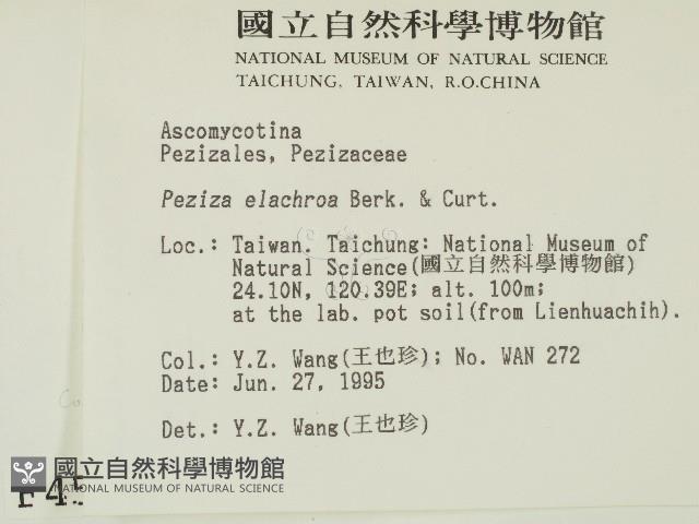 登錄號:F0004559藏品圖，第2張