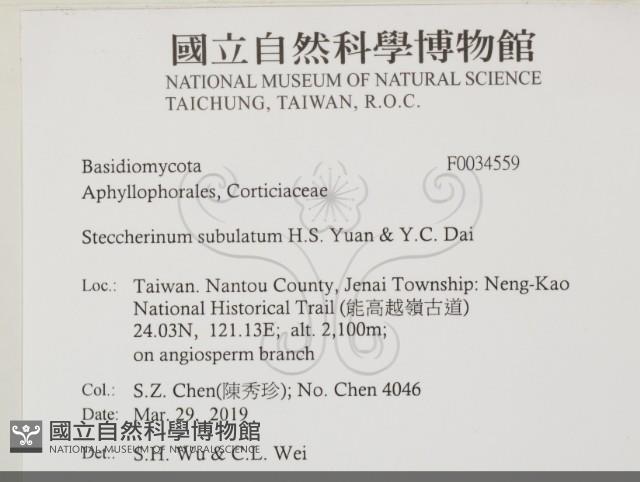 登錄號:F0034559藏品圖，第2張