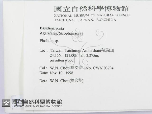 登錄號:F0012559藏品圖，第2張