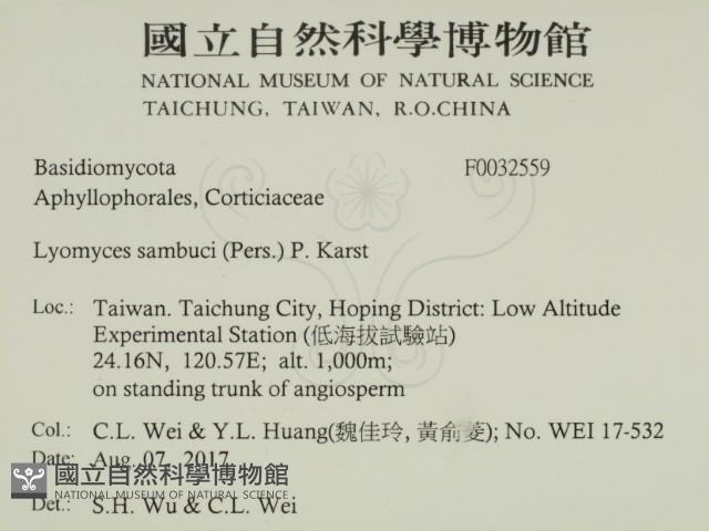 登錄號:F0032559藏品圖，第2張