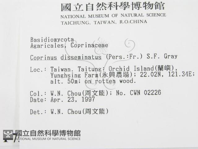 登錄號:F0007559藏品圖，第2張