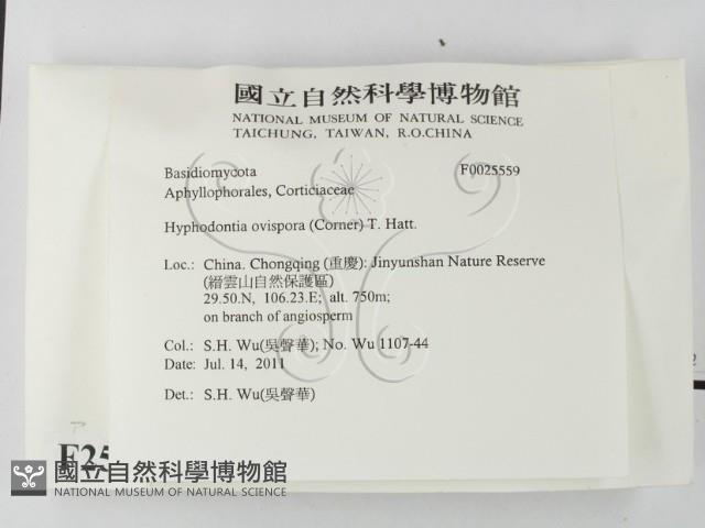 登錄號:F0025559藏品圖，第2張