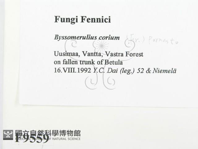 登錄號:F0009559藏品圖，第2張