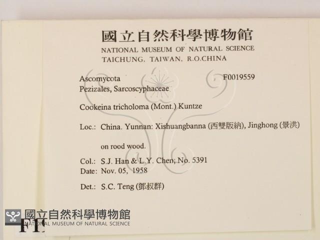 登錄號:F0019559藏品圖，第2張