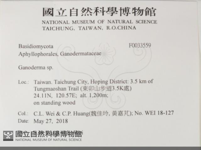 登錄號:F0033559藏品圖，第2張