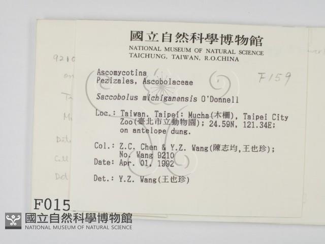 登錄號:F0000159藏品圖，第2張