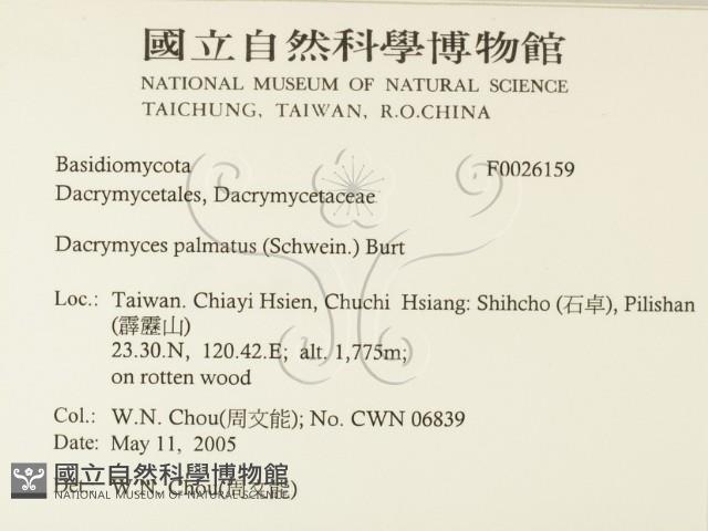 登錄號:F0026159藏品圖，第2張