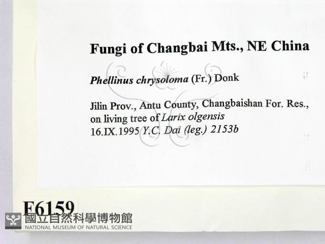 登錄號:F0006159藏品圖，第2張