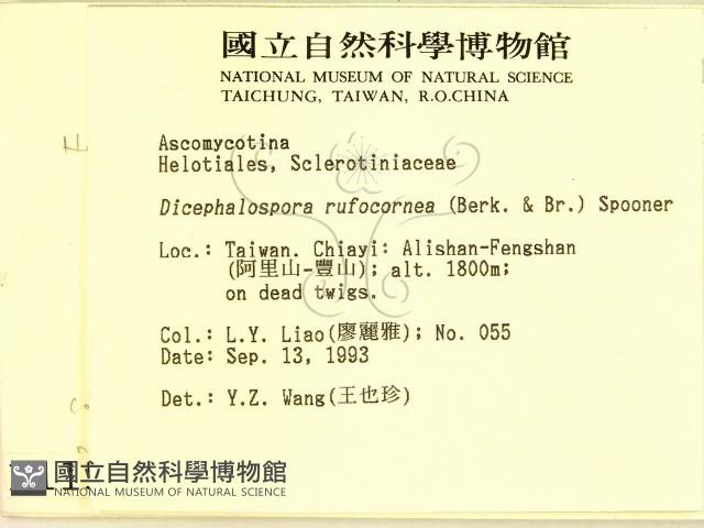 登錄號:F0001159藏品圖，第2張