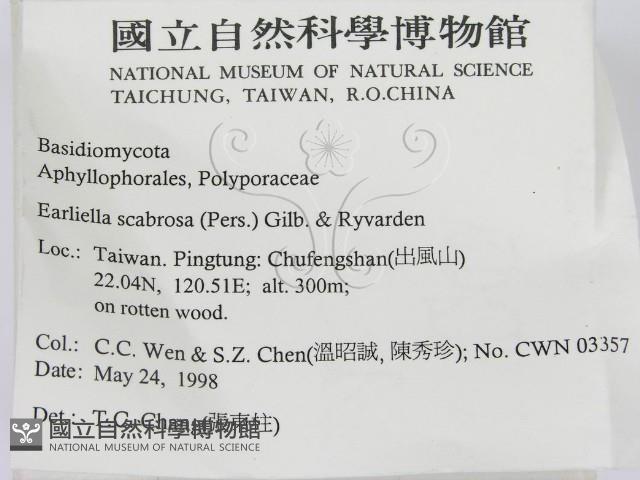 登錄號:F0011159藏品圖，第2張