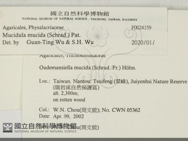 登錄號:F0024159藏品圖，第2張