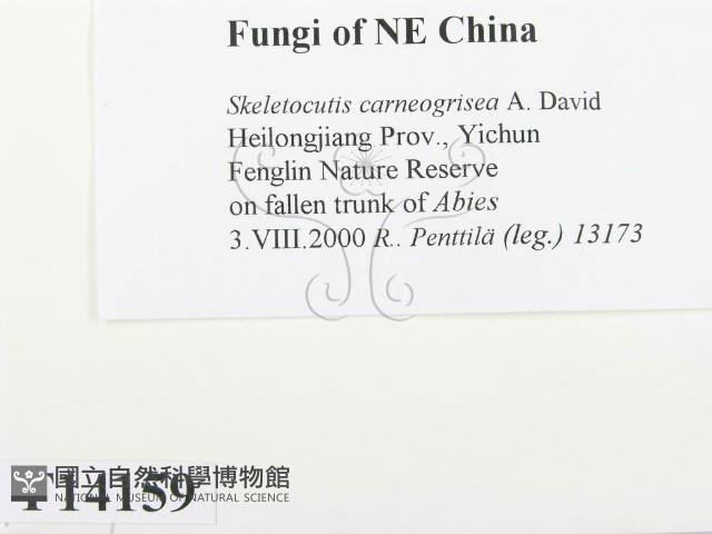 登錄號:F0014159藏品圖，第2張