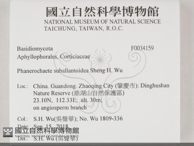 登錄號:F0034159藏品圖，第2張