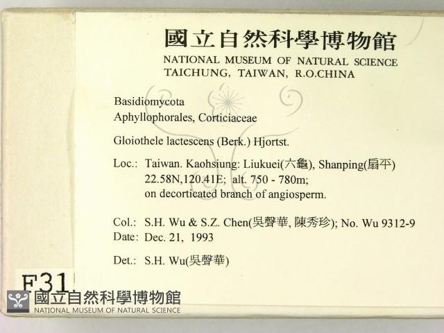 登錄號:F0003159藏品圖，第2張