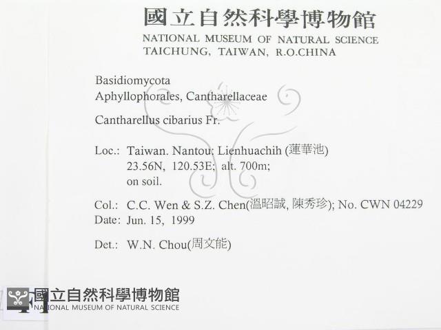 登錄號:F0013159藏品圖，第2張
