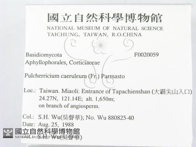 登錄號:F0020059藏品圖，第2張