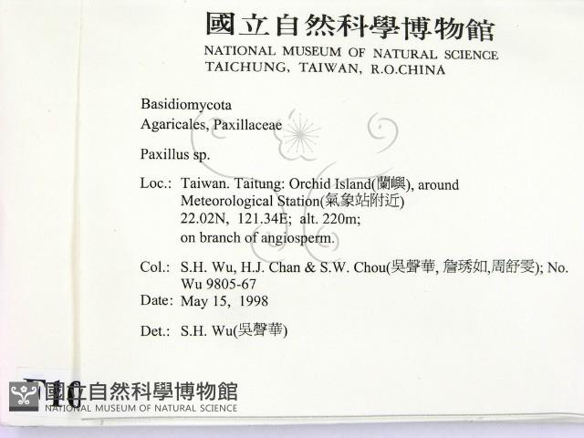 登錄號:F0010059藏品圖，第2張