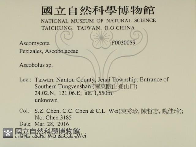 登錄號:F0030059藏品圖，第2張