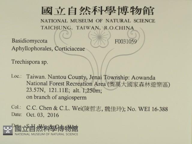 登錄號:F0031059藏品圖，第2張