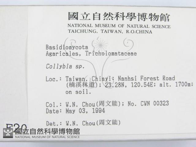 登錄號:F0002059藏品圖，第2張