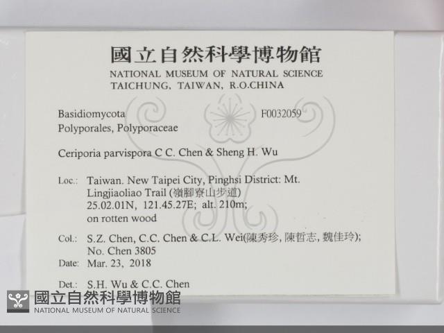 登錄號:F0032059藏品圖，第2張