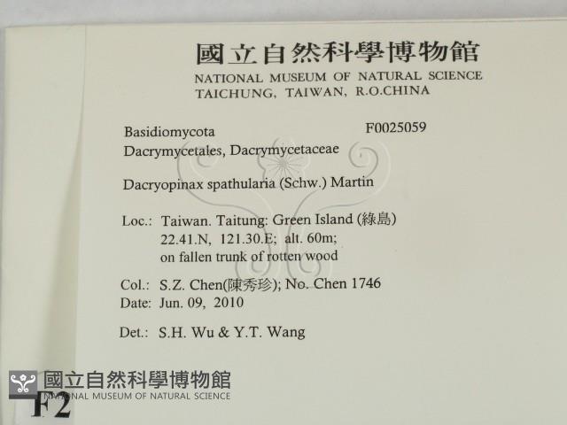 登錄號:F0025059藏品圖，第2張