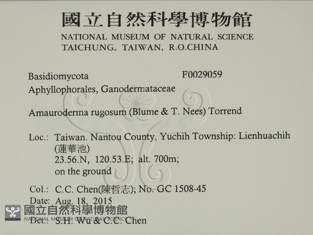 登錄號:F0029059藏品圖，第2張
