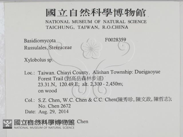 登錄號:F0028359藏品圖，第2張