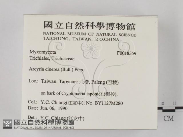 館號:F0018359藏品圖，第2張