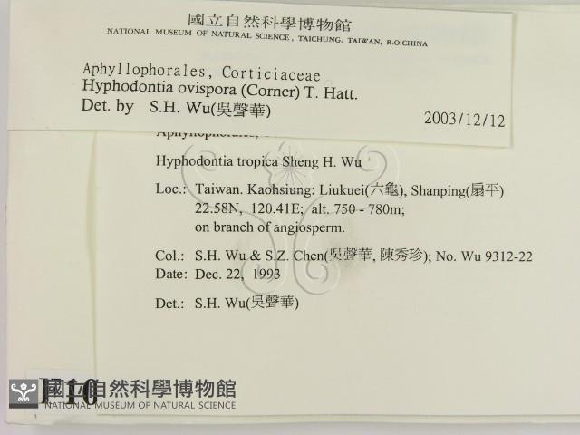 登錄號:F0010359藏品圖，第2張