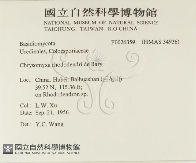 登錄號:F0026359藏品圖，第2張
