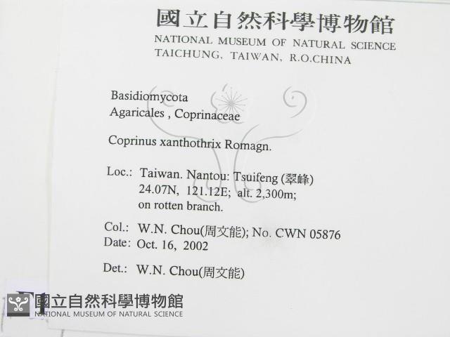 登錄號:F0016359藏品圖，第2張