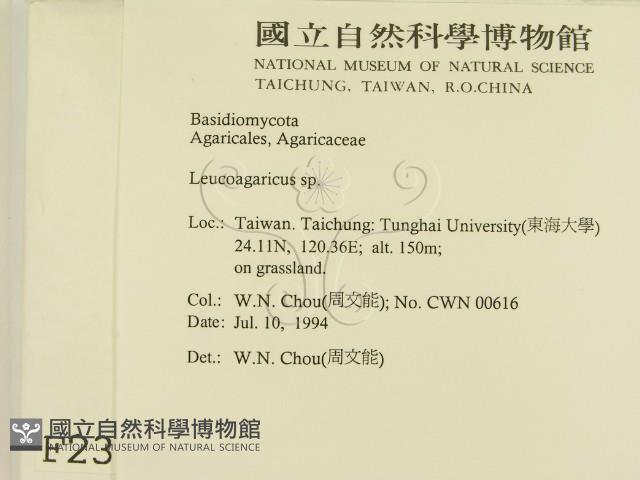 登錄號:F0002359藏品圖，第2張