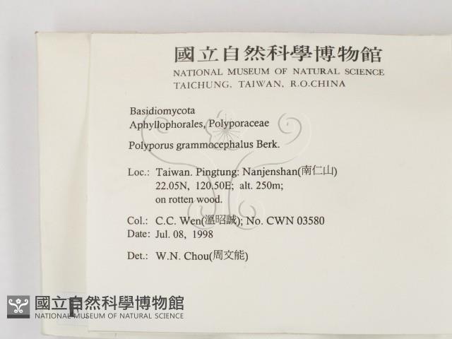 登錄號:F0012359藏品圖，第2張