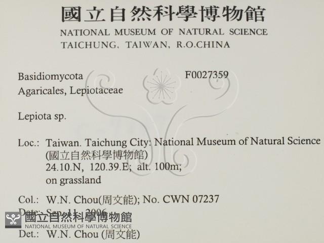 登錄號:F0027359藏品圖，第2張