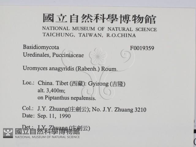 登錄號:F0019359藏品圖，第2張
