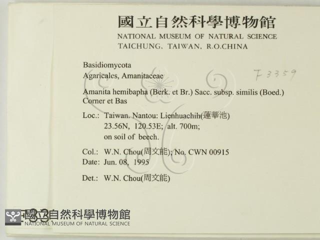 登錄號:F0003359藏品圖，第2張